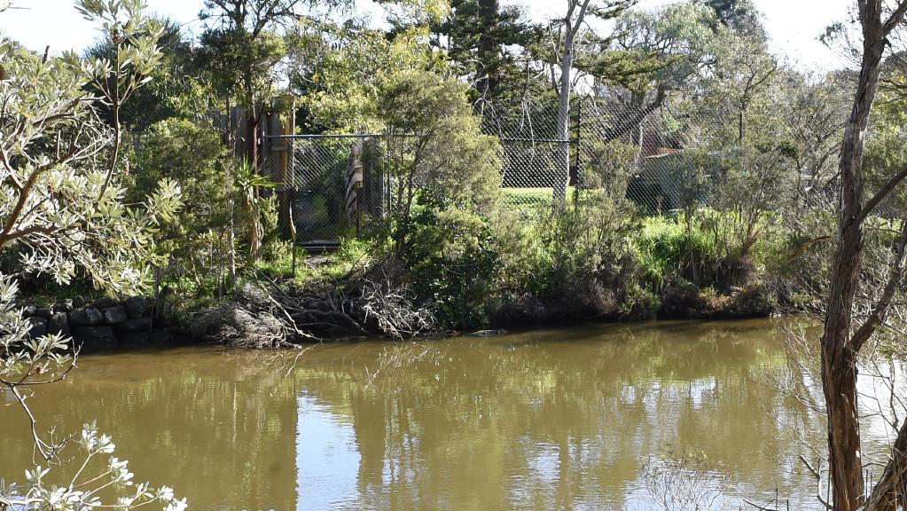 kananook creek
